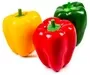 Fru40 Artificial Red Green And Yellow Pepper For Festive Parties Decorationphoto Prop