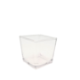 Square Votive Clear Glass 6 X 6cm