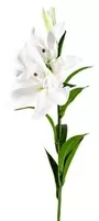 90cm White Lilies X3 Heads