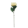 Peonie Cream 82cm