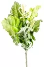 53cm Lambs Ear Frill Leaf