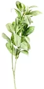 70cm Lambs Ear Solid Leaf With X2 Stems