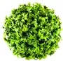 Grass Ball Ivy 15cm 1
