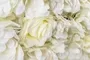 Vertical Garden Blooming White Roses Peonies And Hydrangeas Design 60x40cm 2
