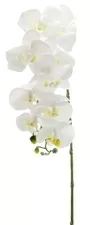 90cm White Orchid Stem 9 Heads 1