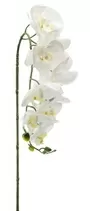 90cm White Orchid Stem 9 Heads 2