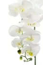 90cm White Orchid Stem 9 Heads 3