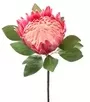 75cm King Protea Pink 1
