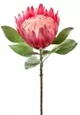 75cm King Protea Pink 2
