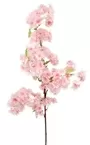 1m Cherry Blossom Pink 1