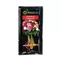 Oasis Floralife Express Universal Flower Food 50 Sachets Per Pack 2