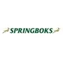 Springboks Letter Banner 2m