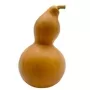 Dri37c Calabash