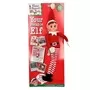 1 Your Posable Elf