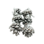 Xmailb Silver Pine Cone 2