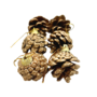 Xma1lb Gold Pine Cone 2