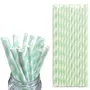 6mm Mint Green And White Striped Paper Straws Pack Of 25