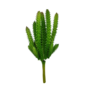 Mini Cactus Sil18s