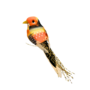 Medium Bird With Clip Orange