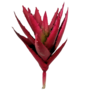 Pineapple Succulant Maroon Sil10f