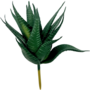 Faux Succulent Dark Green Sil10v