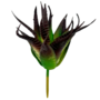 Faux Succulent Dark Green And Maroon Sil10x