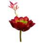 Desert Rose Succulent Maroon Sil10h