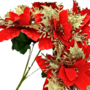 Red Poinsettia Bush With Gold Gliiter 5 Heads 30 Cm Close Up