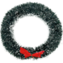 Green Christmas Wreath With White Tips 24 Cm Xma1yy