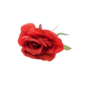 Single Stem Rose Red 48cm Close Up
