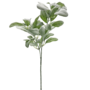 Lambs Ear Branch Light Green 50cm
