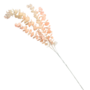 Pennygum Light Pink 80 Cm 5 Stems