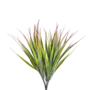 Grass Bush Pink Tips 35 Cm Sil16m 4