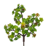 Succulent Small Leaf Green 32 Cm Sil96h 1
