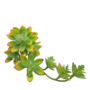 Succulent Light Green With Yellow Tips 7 Heads 30 Cm Long Sil96g