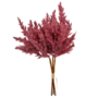 Sil12l 1 Conifer Bush Maroon 36 Cm