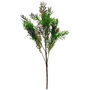 Needle Leaf Bush Dark Green And Brown 45cm Sil15l