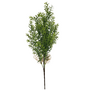 Fine Leaf Bush Light Green 53cm Sil15j