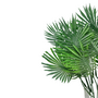Palm Leaf Bush Dark Green 36 Cm Sil156 Close