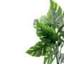 Monstera Delicious Light Green Close 36cm Sil157 1