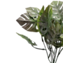 Monstera Delicious Grey Green Close 36cm Sil157 2