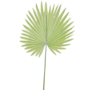 Round Palm Leaf Light Green Sil97