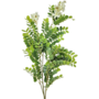 Locust Green Leaf Branch With White Flowers 125cm Close