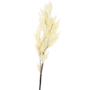 Pampus Grass Branch White 105cm
