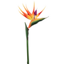 Strelitzia Flower With A Long Stem 95cm 2