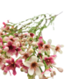 Wax Flowers Stem Pink 80cm Close Up