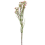 Wax Flowers Stem Pink 80cm