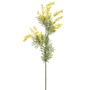 Sweet Acacia Flowers Stem Yellow 85cm
