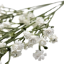 Babys Breath Stem White 52cm Close Up