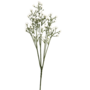 Babys Breath Stem White 52cm Close